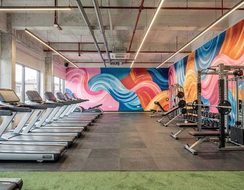 Modern Commercial Gym Interior