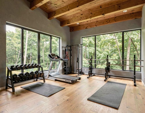 Modern Home Gym with View
