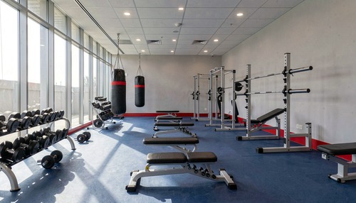 Modern Gym Interior with Equipment