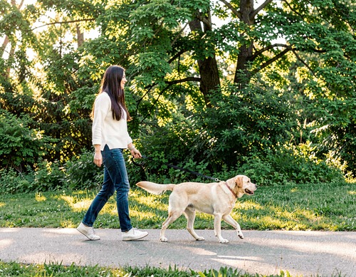 Woman Walking Dog in Park