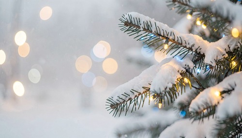 Winter Lights and Snowy Tree Branch