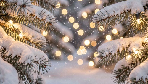 Winter Lights on Snowy Pine Branches