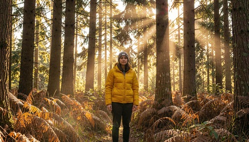 Sunlit Forest Wanderer