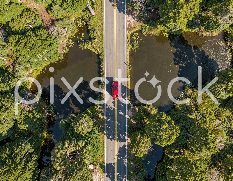 Aerial Road with Red Car and Nature