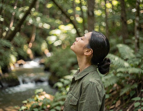Serene Forest Moment