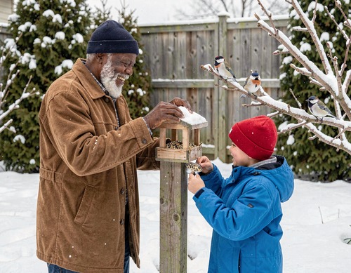 Grandfather and Grandson Filling Bird Feeder in Snow