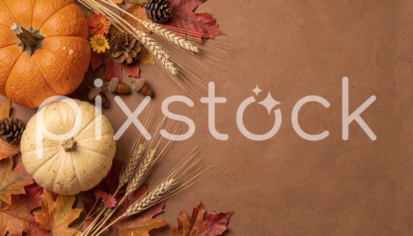 Autumn Harvest Elements