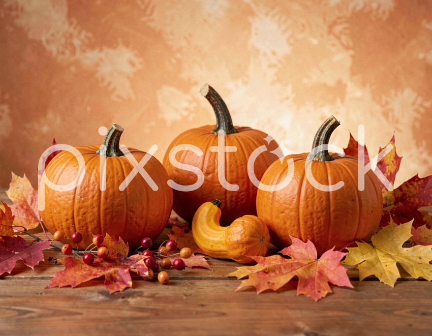 Fall Harvest Pumpkins