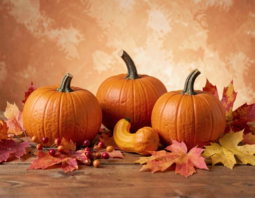Fall Harvest Pumpkins