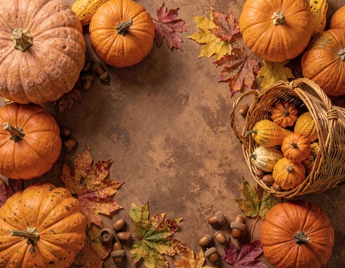 Autumn Harvest Bounty