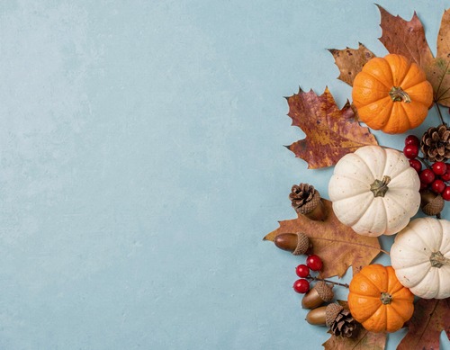 Autumn Harvest Elements