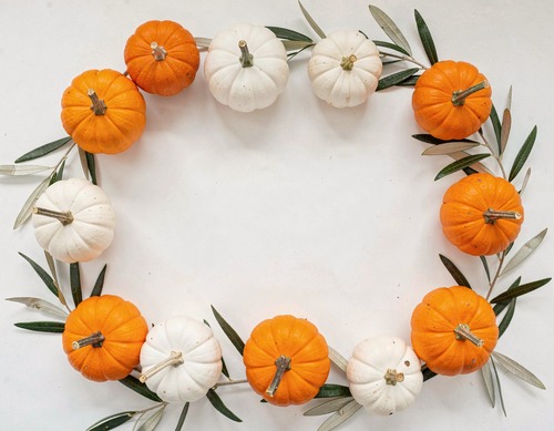 Autumn Pumpkins and Olive Branches